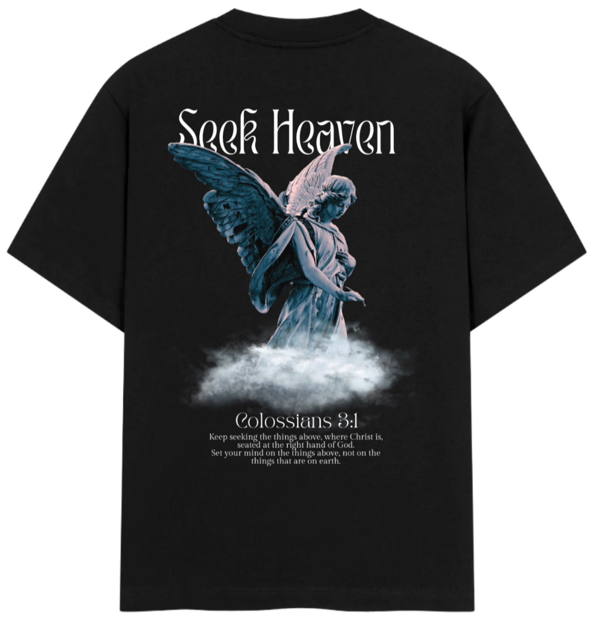 SEEK HEAVEN Tee - WalkWithFaith